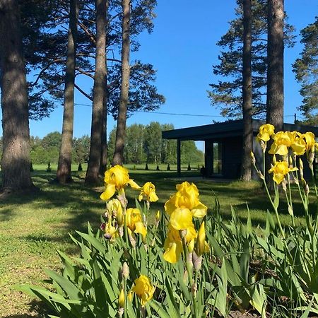 Villa Maennituka Suvetuba Kirikukula  Zewnętrze zdjęcie