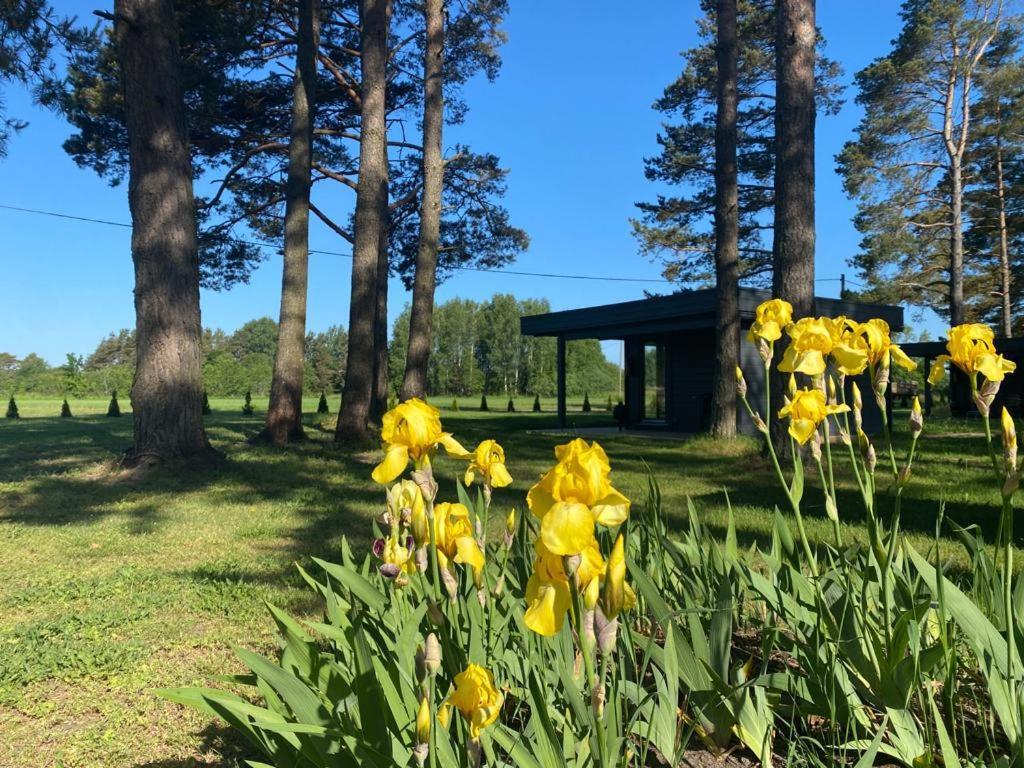Villa Maennituka Suvetuba Kirikukula  Zewnętrze zdjęcie