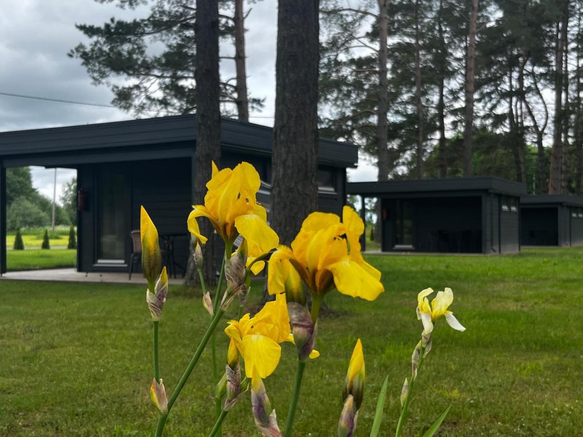 Villa Maennituka Suvetuba Kirikukula  Zewnętrze zdjęcie